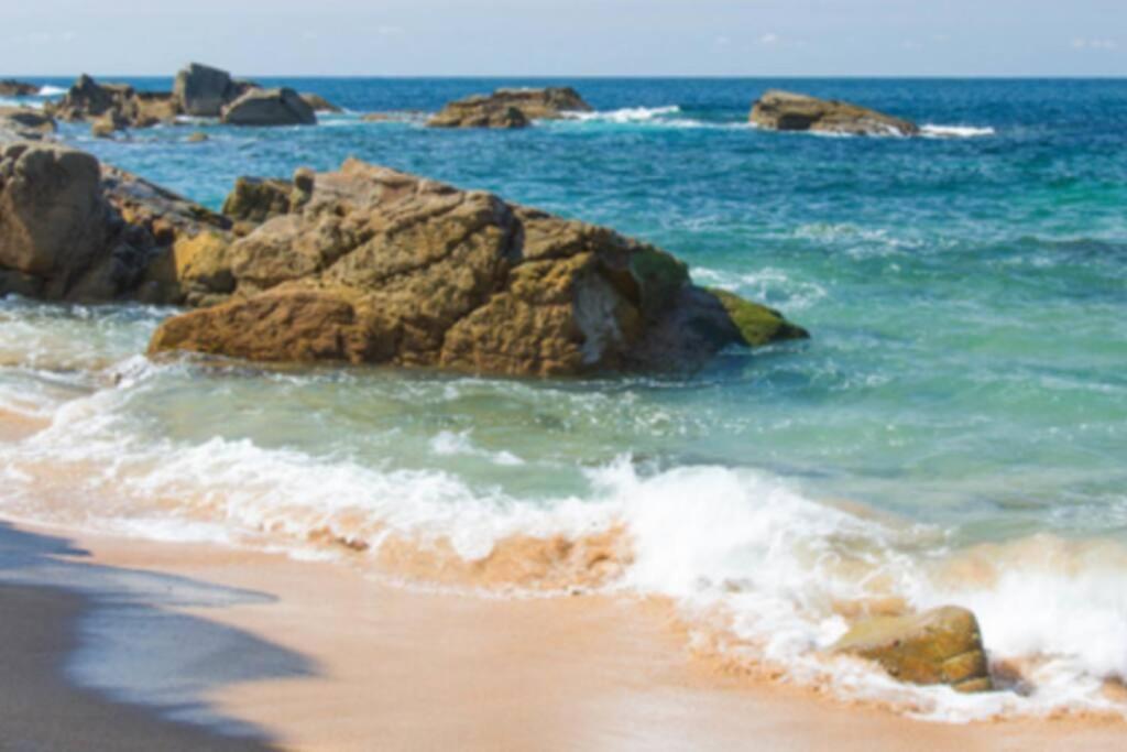 Le Petit Cote Ouest - Appt Dans Les Pins Pres De La Plage Les Sables-dʼOlonne Exteriér fotografie