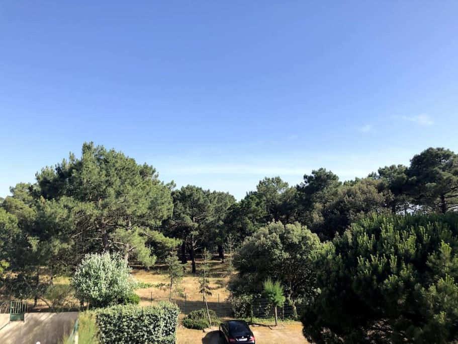 Le Petit Cote Ouest - Appt Dans Les Pins Pres De La Plage Les Sables-dʼOlonne Exteriér fotografie